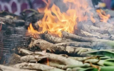 Barcelona Aktivitäten im März – Gastronomische Tradition der Calçotada