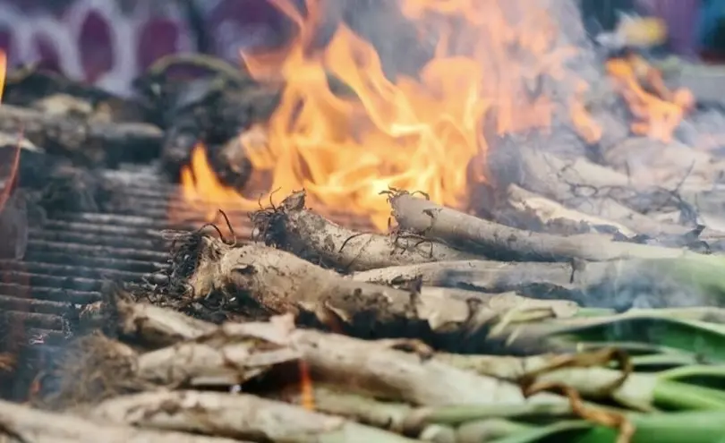 Barcelona: Things to do in March – Gastronomic tradition of Calçotada