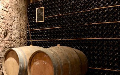 Top Wine Region Catalonia and history of Cava