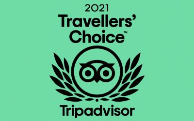 The Barcelona Feeling Wins 2021 Tripadvisor Travelers’ Choice Award for “Tours in Barcelona”