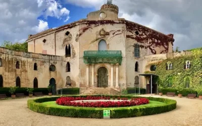 Getting Lost in the Magic of the Labyrinth of Horta