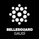 Partner Torre Bellesguard