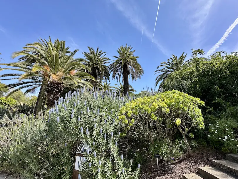 The Botanical Garden of Barcelona: A Hidden Green Paradise
